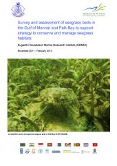 Survey and assessment of seagrass beds in the Gulf of Mannar and Palk Bay to support strategy to conserve and manage seagrass habitats 