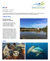 MFF Newsletter June 2015 