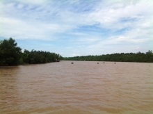 Water sample collection area in Thanh Phuoc commune, Binh Dai district, Ben Tre province