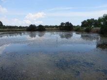 Shrimp farms at Long Khanh Commune, Duyen Hai District, Tra Vinh Province