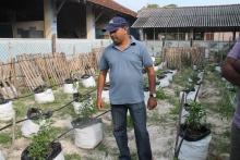 Drip irrigated school vegetable garden