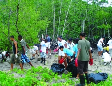 S4S and community group clean and restore the RAMSAR mangrove site with hotel staff 