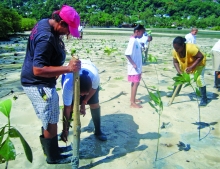  RCEAT hosted mangrove planting in the community 