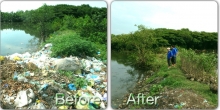 Abandoned shrimp ponds before and after waste collection