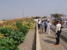 Reed bed System at Manora Island, Karachi