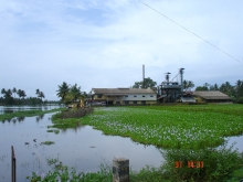 Vembanad-Kol backwaters, Kerala