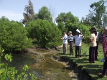 Discussion on pilot sustainable aquaculture model linking with mangrove conservation