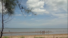 FACOD and local authorities surveying tourism potential at Thanh Phong beach, Ben Tre Province 