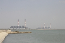 CGPL will work with GUIDE and local communities to restore mangroves along the Mundra coastline