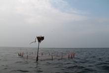 Jaffna Lagoon