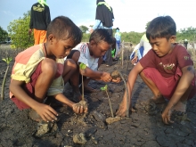Children taking part in mangrove planting