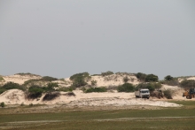 Manalkadu sand dunes