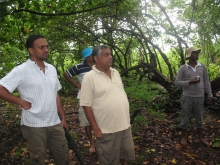 Assessing the diversity of mangroves in Pottuvil, Kudakali, Shastravel and Ulla lagoons. 