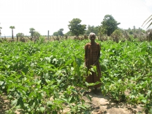 home gardening in Batticaloa 