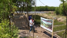 Mangrove nursery in Randutatah village, Probolinggo, East Java province