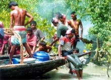 Honey Colletors team in Sundarbans