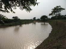 Palugaswewa tank