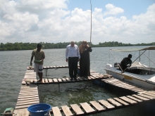 Tourists feed tilapia 