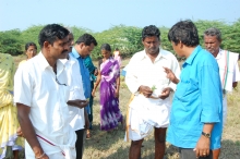 Assessing mangroves