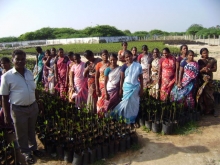 Mangrove Nursery trainings for women in SGHs