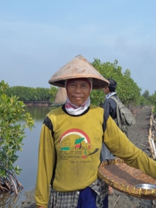 Participation women for coastal rehabilitation and set up alternative income 