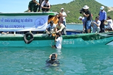 Releasing of marine turtle