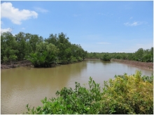 Project area in Thanh Phong, Ben Tre, Vietnam