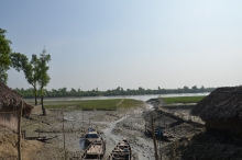 Small community mangroves are aggregating to a larger lanscape change in Shyamnagar