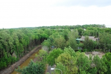 Mangroves populated area in Ca Mau Province