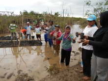 Mootilango village women groups in a mangrove planting activity (WIRE-G)