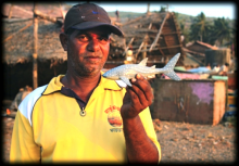 A fisherman holds up a Whale Shark toy in support of the conservation programme