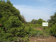 Baan Kuku community protected area 