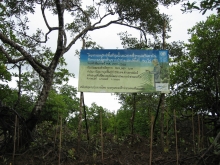 Conserving wetlands Andaman Coast 