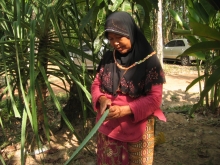 Peeling Pandanus leaf for processing 