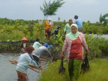 Women beneficiaries planting