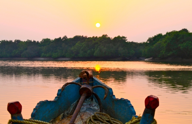 Sunset over Bhitarkanika mangrove forest Orissa Feb 2012 Nisha DSouza