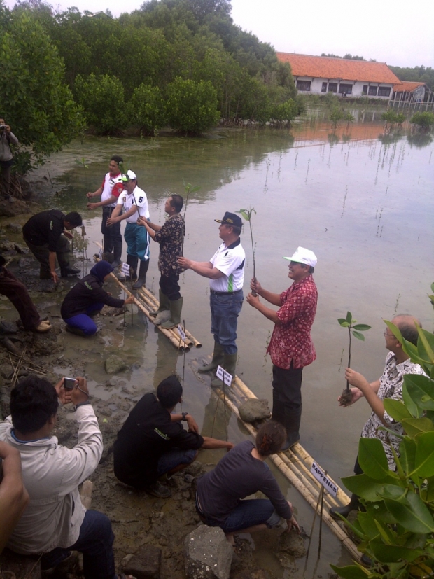 Replanting of Mangrove in LGF Activity 