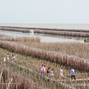 [Samut Sakorn | Field Trip] Visit Kok Kam ( Coastal Erosion) with Denish Journalist and NCB from WWF