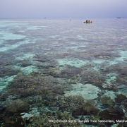[Maldives] RSC-8 Field Trip & Landscape