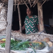 Micro finance scheme supported vegetable stall 