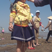 Schoolgirl planting mangroves in coastal erosion area