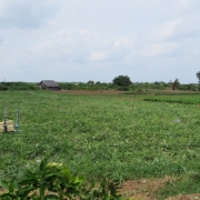 Sand dunes in Thua Duc commune, Binh Dai district, Ben Tre province