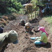 Initiation of project activity: plastic potting by engaging local community group
