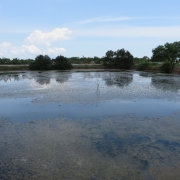 Shrimp farms at Long Khanh Commune, Duyen Hai District, Tra Vinh Province