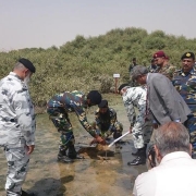 Pakistan Navy plants first mangrove sapling for the Pakistan Navy Mangrove Plantation Campaign