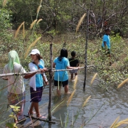 [Trang] Large Project activity at Baan Mod Ta Noi with Sustainable Development Foundation (SDF)