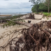 Beach erosion