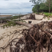 Beach erosion