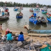 Women gleaning the fan shells