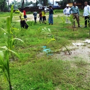 Coastal vegetation improvement for community resilience in Sabrang Union of Teknaf Peninsula